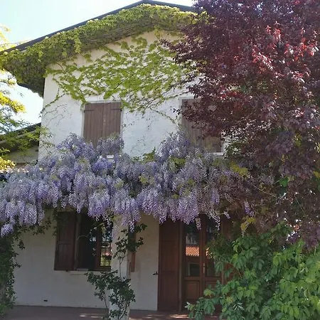 Glicine Pozzolengo